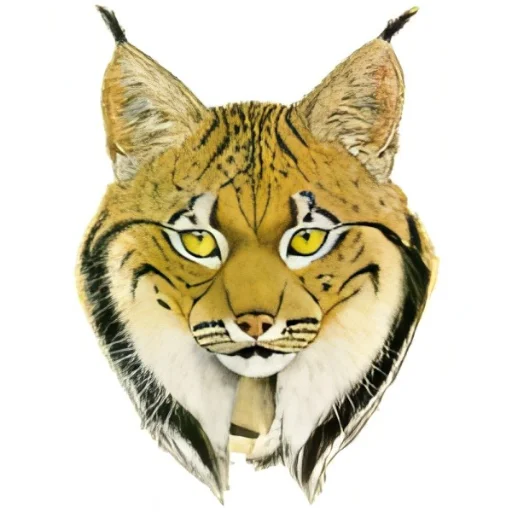 Veterinaria Lince